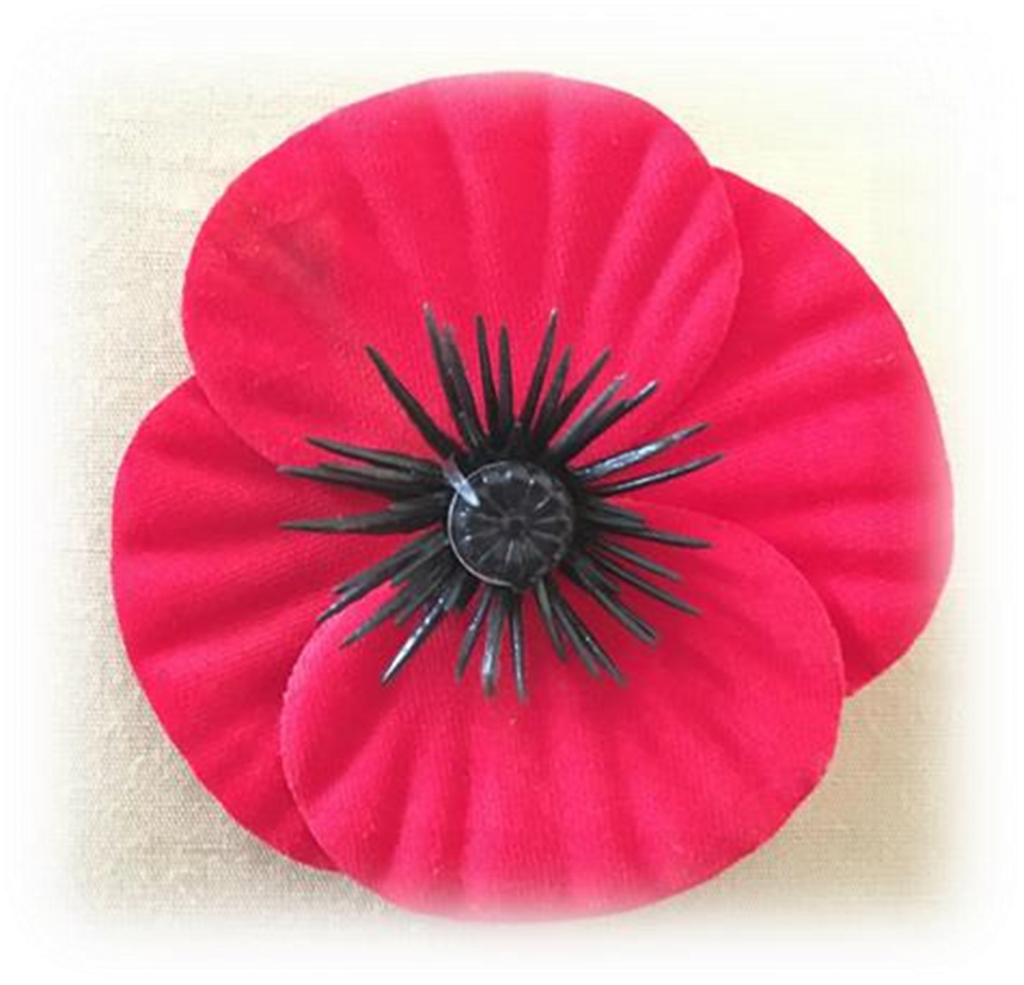 remembrance poppy png